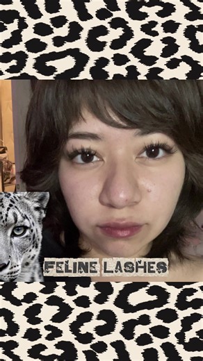 Definitely my favorite style of lashes, I’ll never get tired of them 😸 @WiWiLINK BEAUTY #wiwilinklashclusters #felinelashes #fyp #viral #fypシ