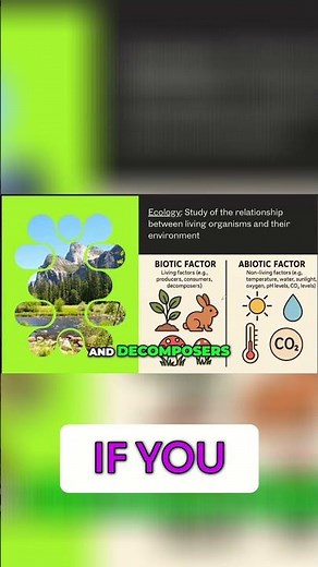 Biotic Factors: Understanding Living Things in Ecosystems