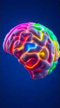 Unlocking the Power of Your Brain: Neuroplasticity Explained