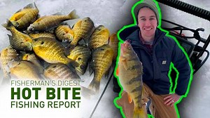 ICE FISHING REPORTS!!! We've got ice fishing reports for Houghton Lake, Alpena, Curtis, Lake Gogebic, & Devils Lake! Watch on YouTube here: https://ltstyt.be/4og Thanks toWavePro, Flo-Fast,Beck's Trailer SUPERstore & Service Center, & Midwest Steel Carports, Inc for helping to make these reports possible. For info on the areas featured: Alpena: Sanctuary of the Great Lakes, Western U.P. Visitors Bureau, Manistique Lakes Area Tourism Bureau | Great Lakes Fisherman's Digest