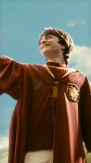 Philosopher's Stone in 25 seconds #HarryPotter25