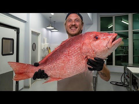 America's Most Popular Fish