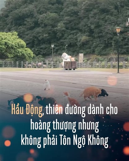 Hầu Động - Thiên Đường Dành Cho Hoàng Thượng
