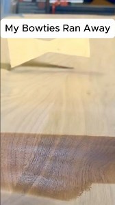 My Bowties Just Ran Away... 🏃‍♂️💨 #woodworking