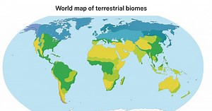 Biogeography: Major Terrestrial Biomes; Theory of Island Biogeography; Biogeographical Zones of India