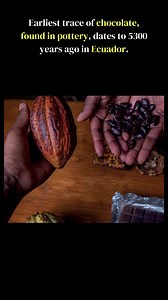 On July 7, 2009, World Chocolate Day was celebrated to mark the day of chocolate's introduction to Europe in 1550. #worldchocolateday #chocolate #history #europe #mediaindiagroup #migreels | Media India Group | Facebook