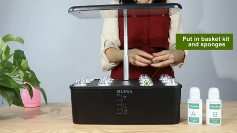 MUFGA 12 Pods Hydroponics Growing System, Indoor Garden with LED Grow Light, Plants Germination Kit, Mini Herb Garden with Pump System, Height Adjustable (No Seed)