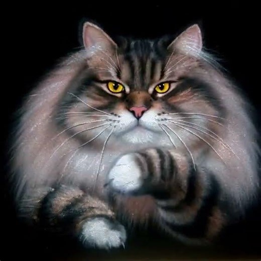 Cozy Cat 🐱✨🛋️