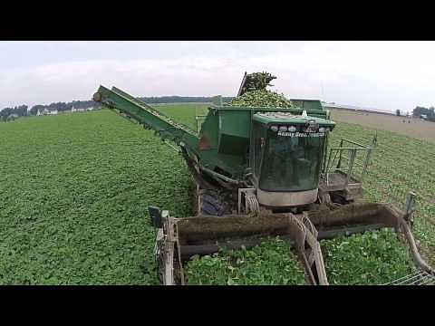 Vogel Pickle Harvester - Kenny Brothers Produce Delaware
