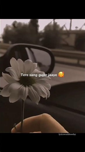 ✨💖 Tᴇʀᴇ Sᴀɴɢ Gᴜᴊᴀʀ Jᴀʏᴇ Yᴀʜ Uᴍʀᴀ Jᴏ Bᴀᴋɪ Hᴀɪ 💖✨ #song #lofi #lyrics