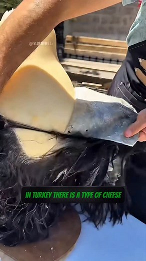 10K views · 46 reactions | Cheese Aged in Sheepskin! Turkey’s Ancient Secret #fblifestyle #inventions #cheese #cheesecake #genius #construction #factory #ingeneering #innovation #didyouknow #ingenious #gadgets #why | Iqutech | Facebook