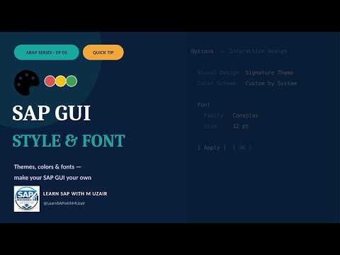 How to Change SAP GUI Theme, Color & Font | SAP GUI Customization Tutorial