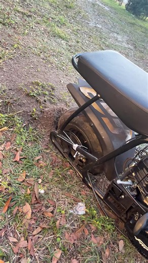 Brakes Replacement Needed for Minibike