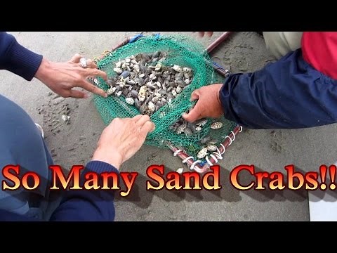 Striped Bass Fishing: How to Tie the Fish Finder Rig and getting ADVICE from OG's!!