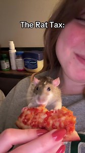 Lola Tries Pizza: First Bite Reaction from a Pet Rat