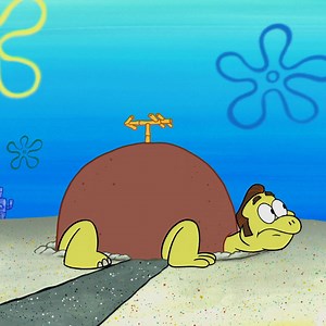 883K views · 4.5K reactions | Wir dachten immer Patricks Haus wäre nur ein Stein… Frohen Tag der Schildkröte! | Nickelodeon auf Deutsch | Facebook