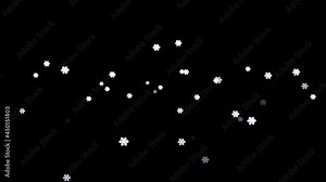 White snowflakes are falling Isolated by Alpha channel (transparent background) Uses it to enhance any video presentation or animation movie or Cinematic clips or film project
