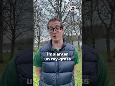 [Vidéo] Désherbage : « En système TCS, un faux semis réalisé dans de bonnes conditions peut être efficace, parmi les leviers de lutte contre le ray-grass. » | Damien DERROUCH