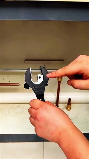 strange work #shorts #fact #usa #newyork #america