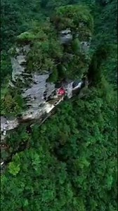 21K views · 88 reactions | Beautiful | Awesome Pics & Videos | Facebook