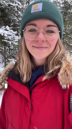 Comment which Boundary Waters routes you want to know more about below! 🌲 #boundarywaters #grandmarais #minnesota #boundarywaterscanoearea