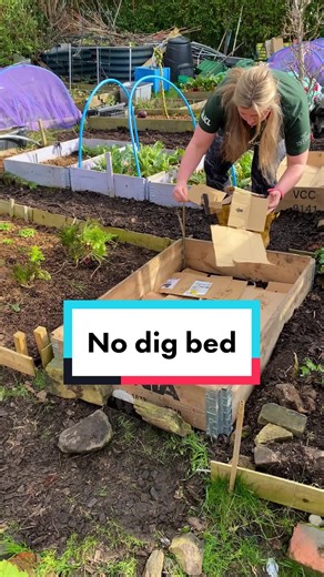 Easy Gardening Without Digging! No-Dig Tips for Your First Garden
