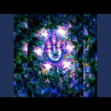 Springy bouncy sounds that only mushrooms know