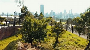 2.6K views · 39 reactions | Where It All Began! “The transformation of Addis Ababa began six years ago within the walls of our office, starting with Unity Park—a public space where history, nature, and imagination come together. We have big dreams for Ethiopia!” - Prime Minister Abiy Ahmed #PMO | Ethiopia Land of Origins | Facebook