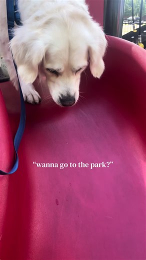 Monty's First Slide Adventure