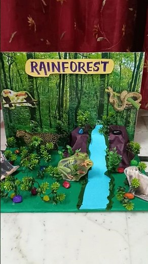 Rainforest 3D model with animals school project #schoolprojectmaker #kidsprojects