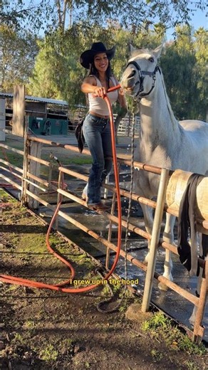 I started riding horses in my 30s… and it changed me 🐴 😍 #horse #horseriding #western