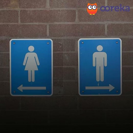 TOP 5 Produits efficaces pour détartrer ses WC