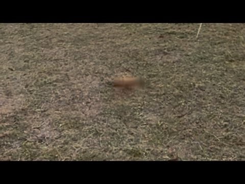 December 20th 2025 0650 UFO/UAP go fast. Cut original raw footage