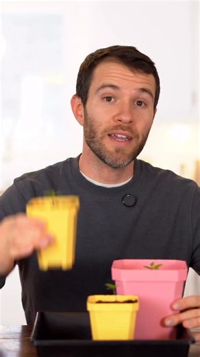 Peppers not sprouting? Do this and you’ll have healthy plants in no time. Pepper seeds can be tricky to germinate, but these common reasons for failure are easy to avoid. Save this for next time you plant 🌱 #peppers #gardening #gardening101 | Pepper Geek