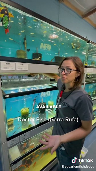 Exploring the World of Garra Rufa - Doctor Fish Facts Revealed