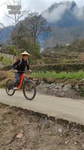 GUARD DOG Z看门狗2高加索软尾山地车 1137019482