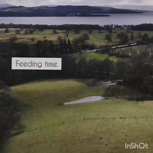 3 comments | FEEDING TIME With only 5 weeks to go until we start...