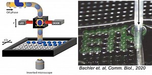 Microarray and Droplet Screening Platforms