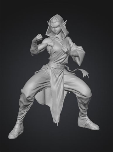 DND Female Elf Shadow Monk / STL FILE - Etsy