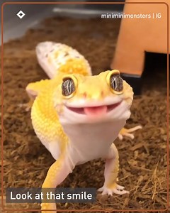 3M views · 97K reactions | Hey you! yes you! have a licky day!  miniminimonsters | IG | 9GAG Cute | Facebook