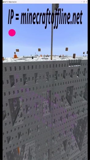 Minecraft 1.21.11 anarchy lifesteal server