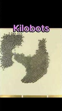 Self-Assembling Robot Swarm KiloBot #robot #ai #kilobot #kilobots #swarms #swarmrobotics #swarmrobot