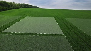 Land surveying in a field. Division of land for future sale and development.