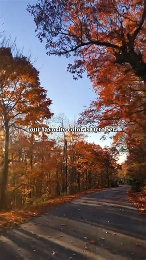 Fall in the Blue Ridge Mountains doesn’t just arrive, it unfolds🍁✨ Through early November, fall color will continue to sweep from the highest peaks to the foothills, creating one of the longest and most vibrant leaf seasons in the nation. See where color is peaking this week⬇️🔗 https://bit.ly/48p6wdw *clips are a mix of archived and current footage* | Visit Asheville