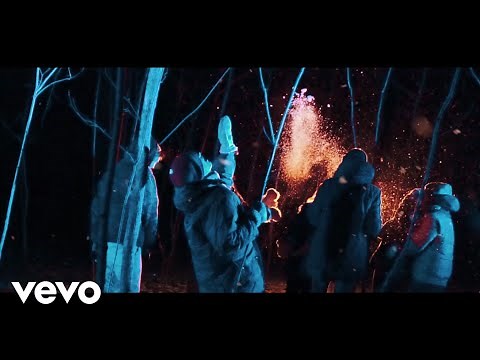 Hippo Campus - way it goes (Official Video)