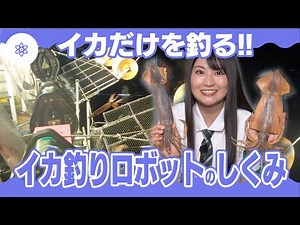 【海の教室・海のテクノロジー】イカだけを釣る!?イカ釣りロボットのしくみ（石川県）
