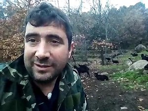 480K views · 3.2K reactions | Buenos días hoy voy a hacer uno de los rituales más populares y tradicionales de este país como es la matanza tradicional | Jesús Manuel El autóctono | Facebook