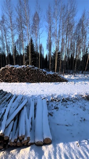 Logging Techniques with Valtra Tractors in Winter