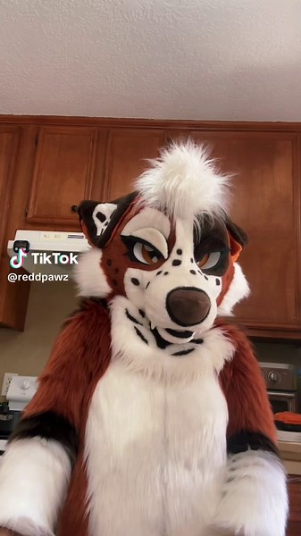 Highlights from a Fun Furry Convention Experience