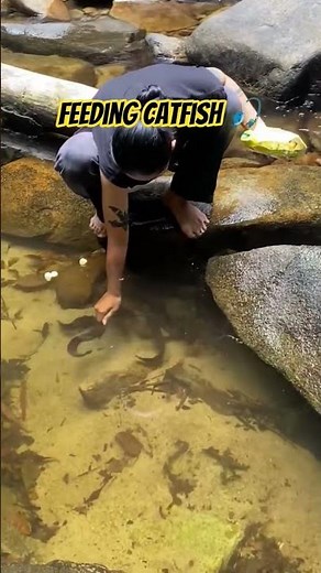 One of the tricks to call fish 😁🎣 #tricks #call #catfish #fish #fishing #nature #river #ytshorts #yt